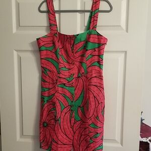 Farm Rio dress,Floral Pink and Green Women's Dress,size L